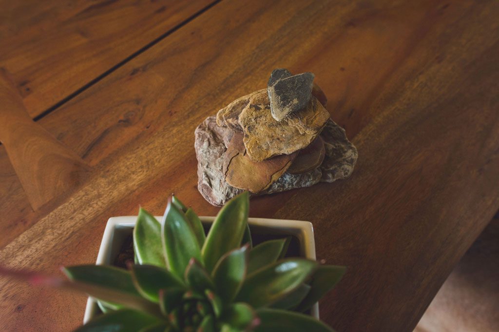 Design Philosophy image of a table arrangement of small plant and rock