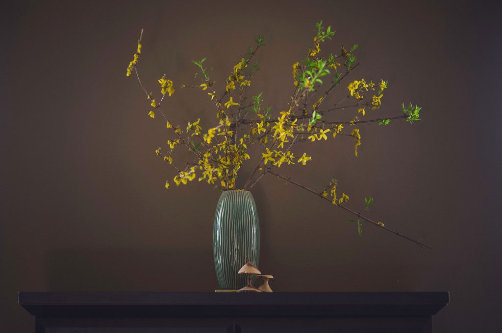 Design Philosophy Image of Flowers in a vase against a dark wall